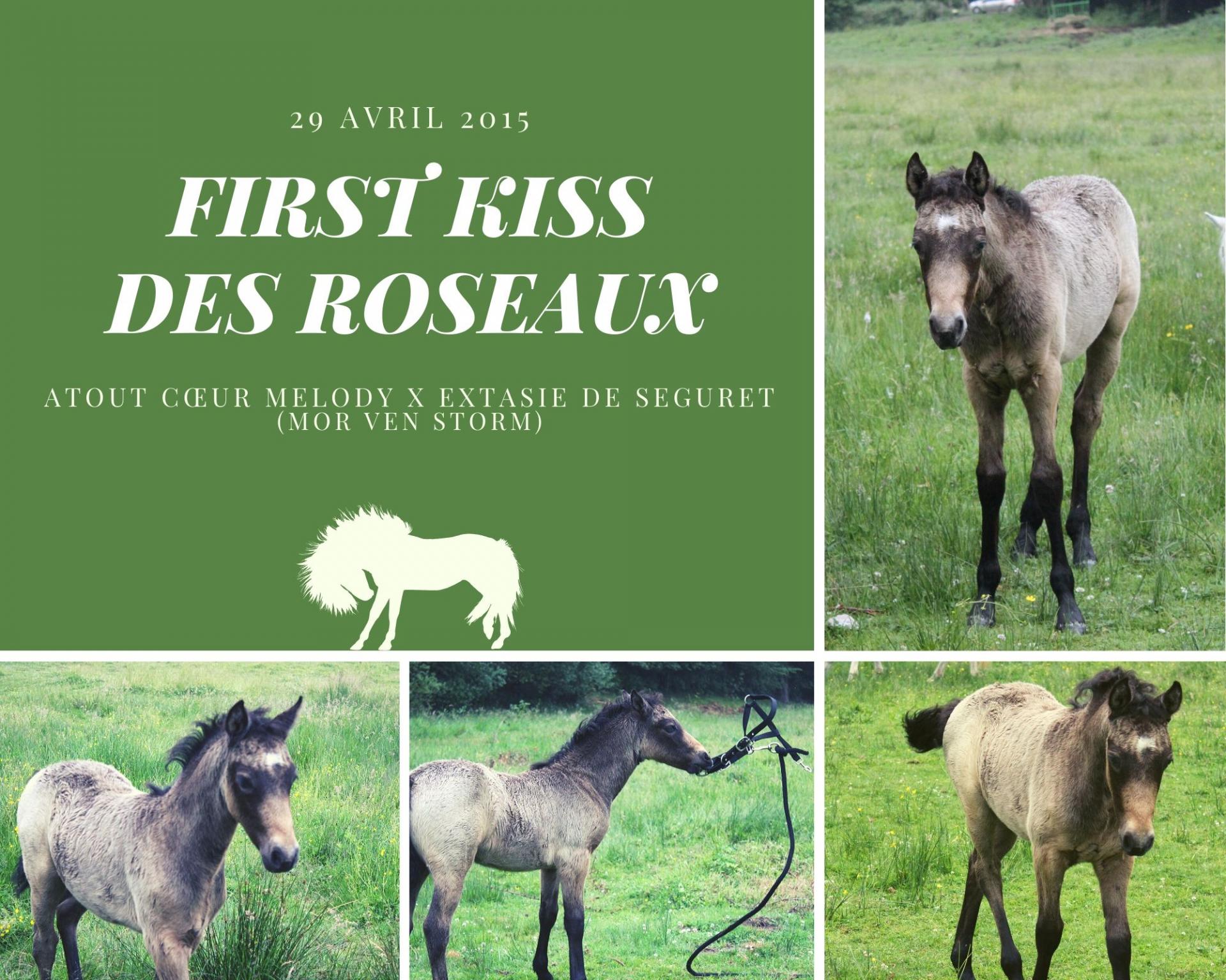 First kiss naissance 2