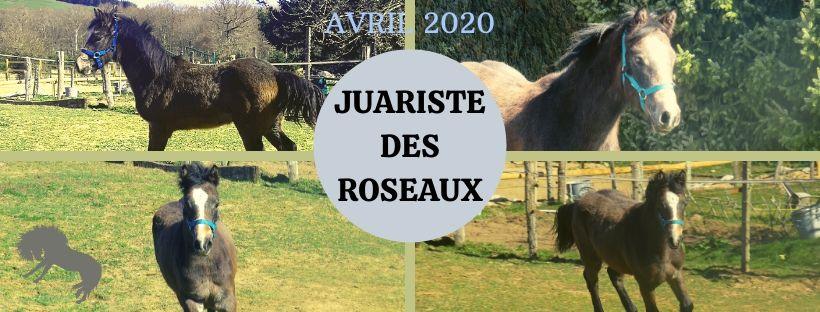 Juariste avril 20