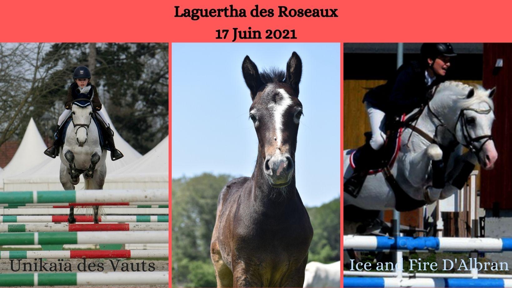 Laguertha des roseaux 17 juin 2021