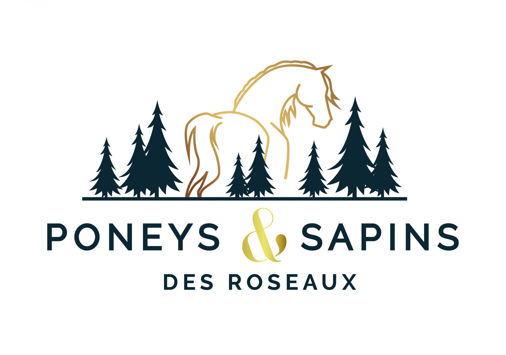 Logo poneys sapins roseaux