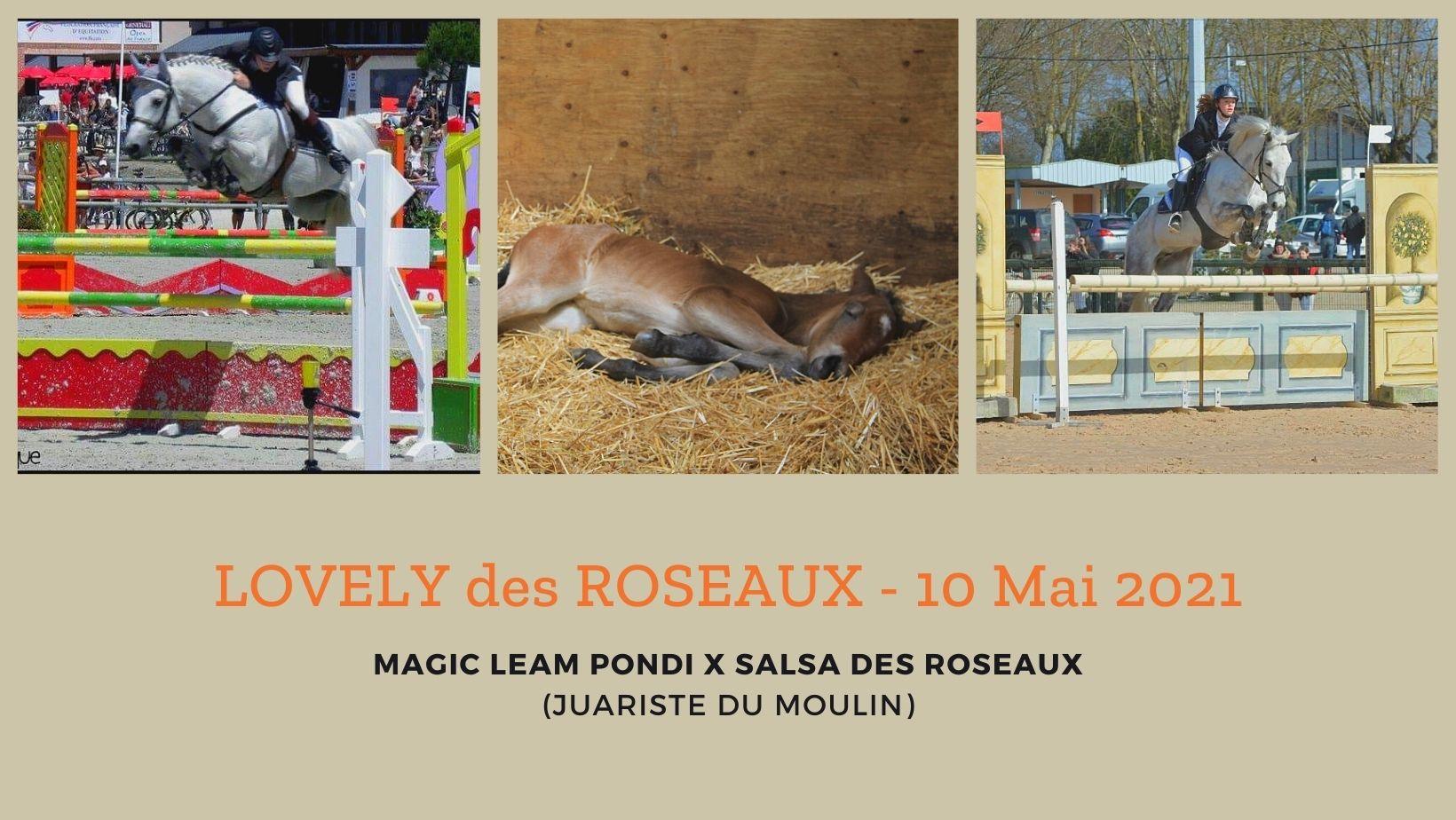 Lovely des roseaux 10 mai 2021