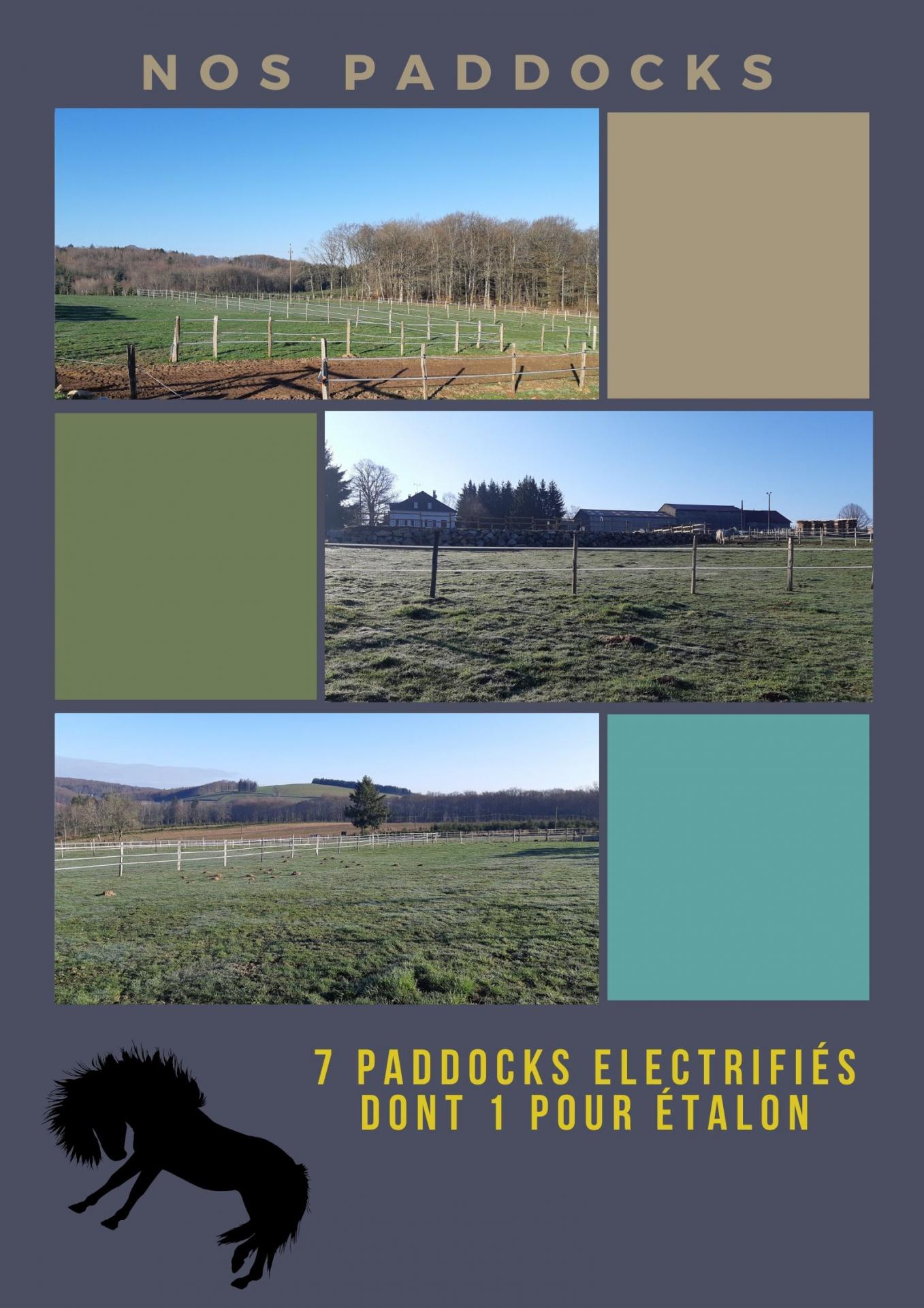 Paddocks