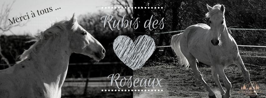 Rubis